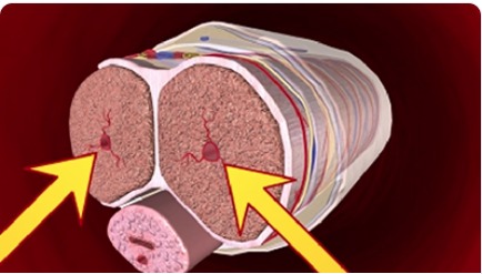Enhanced Blood Flow