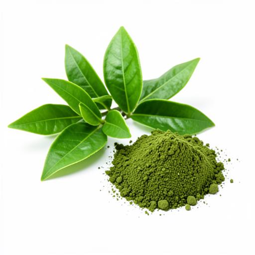 Green Tea Extract